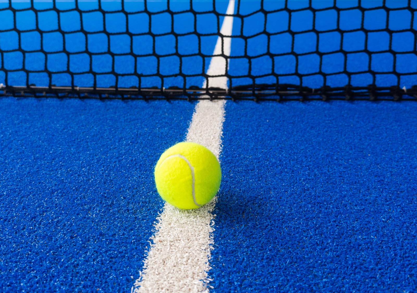 paddle tennis ball next to the net of a paddle tennis court.
